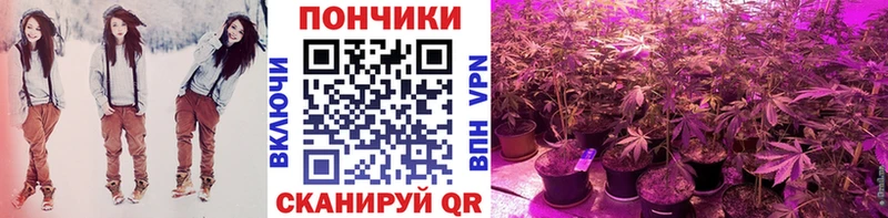 Марихуана SATIVA & INDICA  Сенгилей 